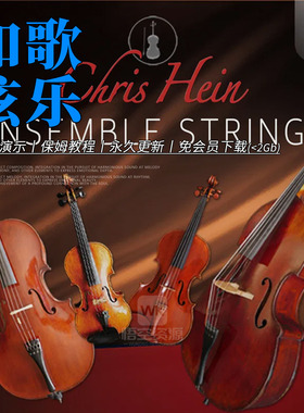如歌独奏+合奏弦乐丨Chris Hein Ensemble Solo Strings