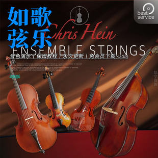 如歌独奏+合奏弦乐丨Chris Hein Ensemble Solo Strings