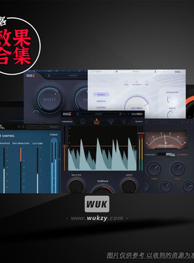 Black Salt黑盐效果器合集Drum Bus\Oxygen\Telos Guitars\Oxygen