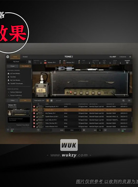 IK Multimedia Brown Sound '78-'79（ToneX Van Halen签名箱头）