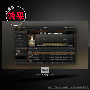 Sound Halen签名箱头 Multimedia Van Brown ToneX