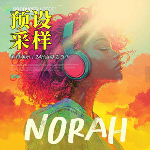 Dance Producer 振奋系House Norah Pop采样包 Loops