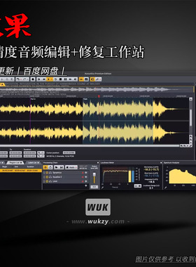音频编辑与母带工作站丨Acon Digital Acoustica v7.7.8