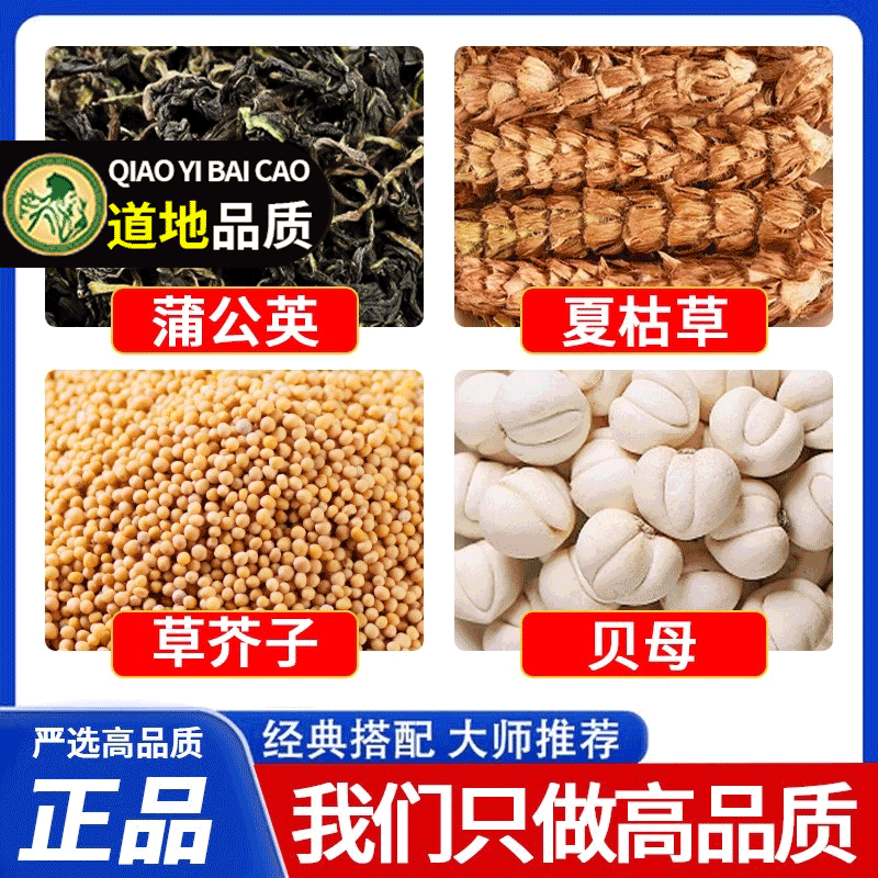 蒲公英夏枯草草芥子贝母