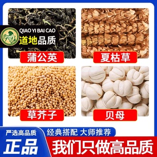 蒲公英夏枯草草芥子贝母正品中药材各6g克正品旗舰店泡水喝茶喝