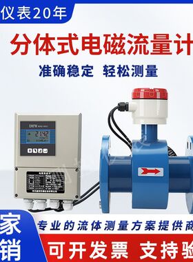 电磁流量计污水管道式液体流量计智能数显DN50DN80DN100德国品质