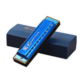 青歌10孔布鲁斯口琴C调初学者学生成人儿童演奏入门自学十孔蓝调G