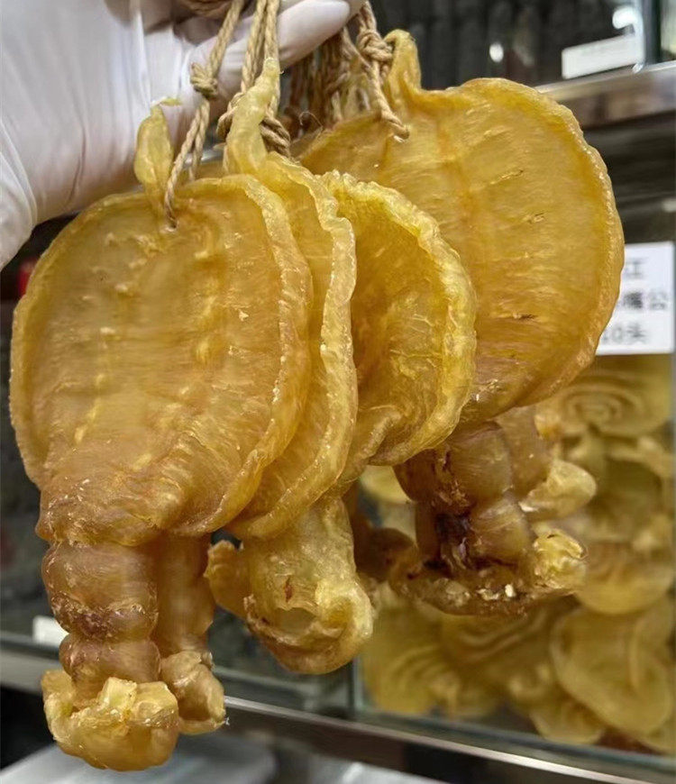 【陈年老胶】老石肚赤嘴鳘鱼胶纯公肚孕妇哺乳期干货花胶术滋补