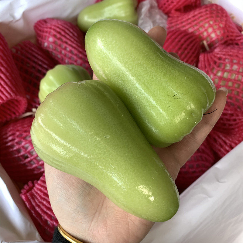 【现货】泰国空运翠玉绿色莲雾台湾青竹甘蔗香清甜多汁水嫩包顺丰,水产肉类/新鲜蔬果/熟食,莲雾,淘宝优惠券,粉丝福利购,淘宝优惠卷