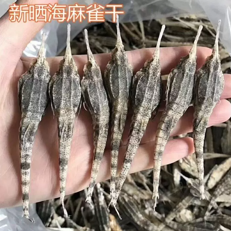 正品新货海麻雀干 海燕 海燕子包邮海产品干货煲汤泡酒滋补品