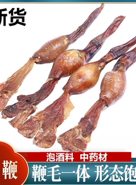 正宗狗鞭包邮黄狗肾黑狗肾中药材食用黄狗鞭黑狗鞭非海狗鞭泡酒料