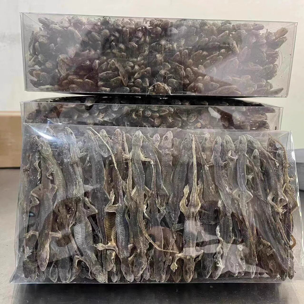 保证正品壁虎干中药材500g壁虎中药材壁虎干粉天龙粉守宫粉中药材