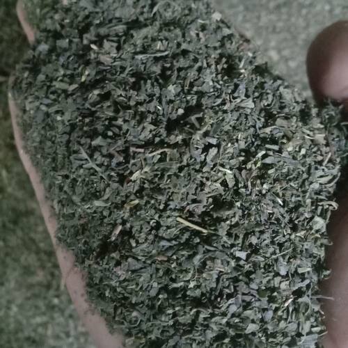 茶叶茉家用新房新车吸茶叶梗包去味除臭茶灰吸潮沫沫灰梗混合物