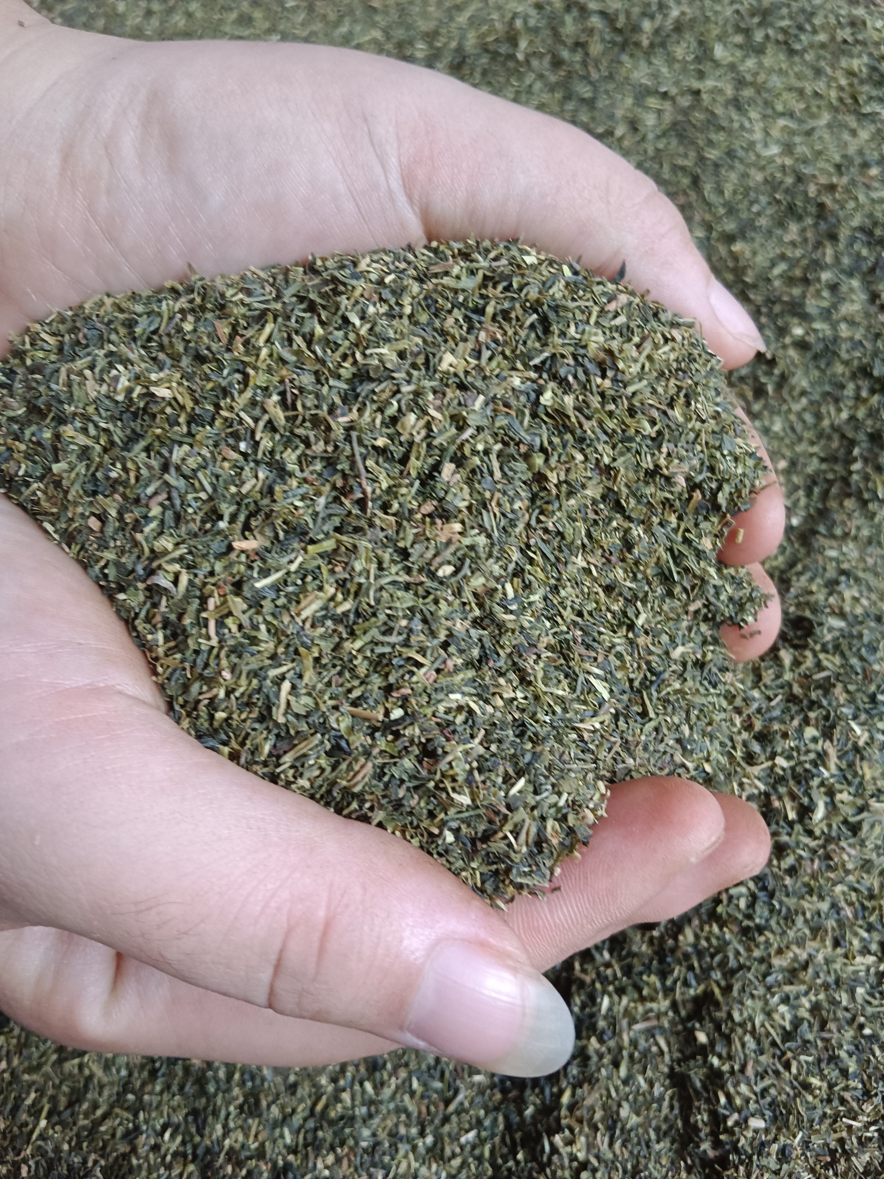 茶叶梗除味5斤枕头填充物猫砂去味臭去味装去除异味短细梗沫混合