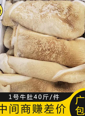 牛肚新鲜冷冻半成品商用半熟