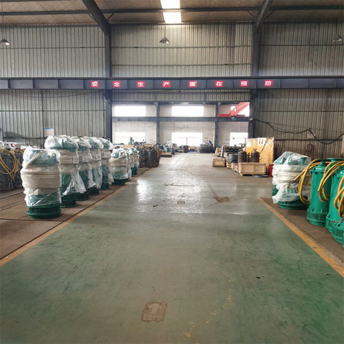BQS30-130/2-30/N潜水泵 排污能力强 防缠绕无堵塞 BQS防爆潜水泵