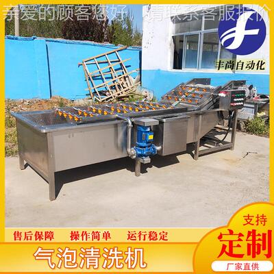 型全自大动油菜气洗泡清洗机食品连续式气泡清GPD设备果蔬清洗机