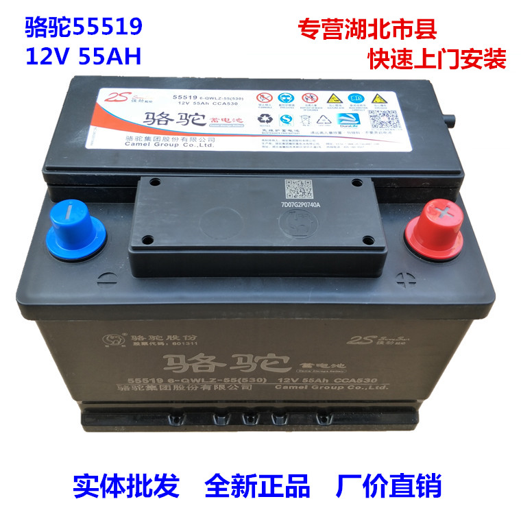 骆驼55519免维护蓄电池12V55AH适用福克斯自动挡嘉年华马2马3电瓶