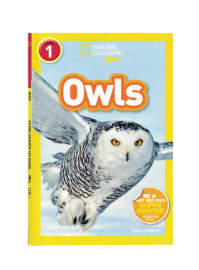 进口英文原版正版绘本 National Geographic Kids Readers: Owls 猫头鹰 国家地理分级阅读初阶 Level1低幼儿童英语启蒙绘本