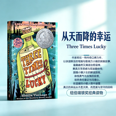 进口英文原版小说从天而降幸运