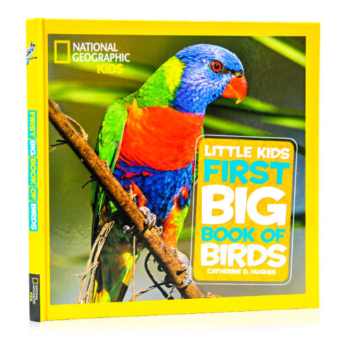 进口英文原版美国国家地理儿童百科 Little Kids First Big Book Of Birds  National Geographic 百科全书启蒙绘本英语课外阅读