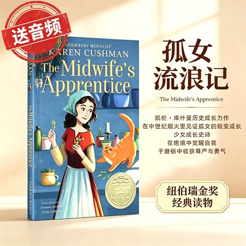 孤女流浪记英文原版小说