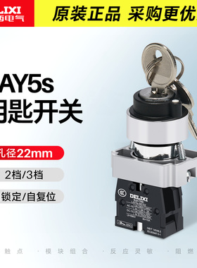 德力西旋钮钥匙控制LAY5sBG21两档自锁常开钥匙开关BG33三位单抽