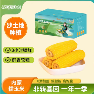 蒙谷阳光黄金小粒敖汉黄糯玉米真空包装新鲜现摘原生态粘苞米粗粮
