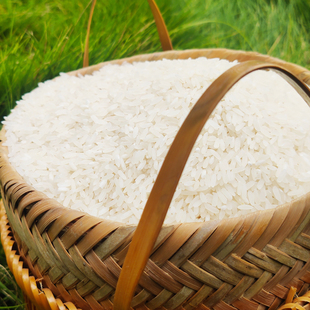 杆洞妹农家大米25kg广西融水县特色农产品食堂用米高山种养