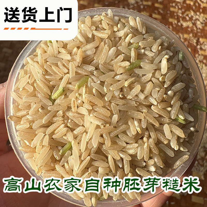 糙米江西农家自种新米带胚芽米无谷杂粮高山梯田农村传统农耕大米,粮油调味/速食/干货/烘焙,糙米,淘宝优惠券,粉丝福利购,淘宝优惠卷