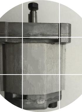 现货SAUERDANFOSS齿轮泵萨澳 RN01BAP1F3F3SNP1NN2.6 液压油泵