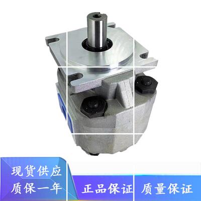 合肥长源齿轮泵CBKP63-BFP/BFPL/BFΦ/BFΦL/BFH/BFHL/BFX/BFXL