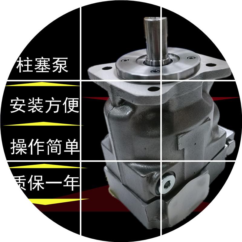 现货.派克PV016柱塞泵PARKERPV032.PV046.PV092.液压泵PV180