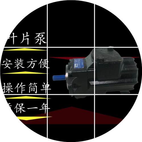 现货VANE DENISON PUMP T6CC012017     C1001R00丹尼逊压铸机叶