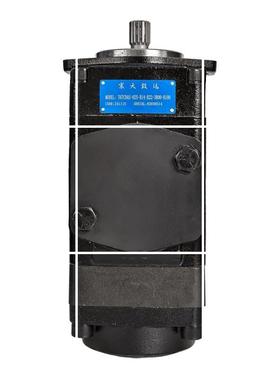 现货Parker/ 系列T67CBAS  B25B14 Epiroc 3R00B22B100液压泵工程