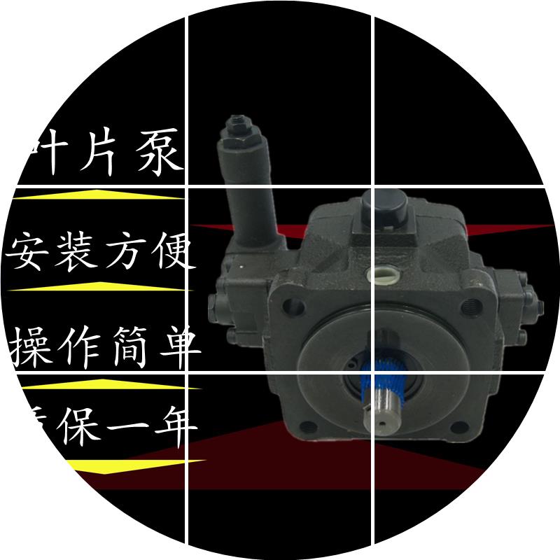 现货安颂 ANSONA4VP5F/VP6F-A2/B4/ /A5/B2/B3/A3/B5-50/50S 叶片