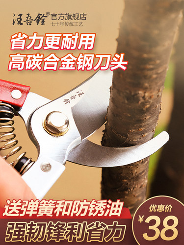 汪吾铨剪刀树枝剪园林进口粗树枝