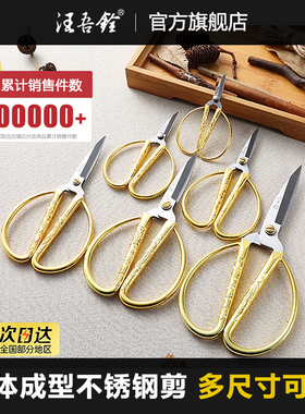 汪吾铨家用小剪刀剪纸剪线头手工剪剪彩龙凤剪裁缝不锈钢尖头剪子