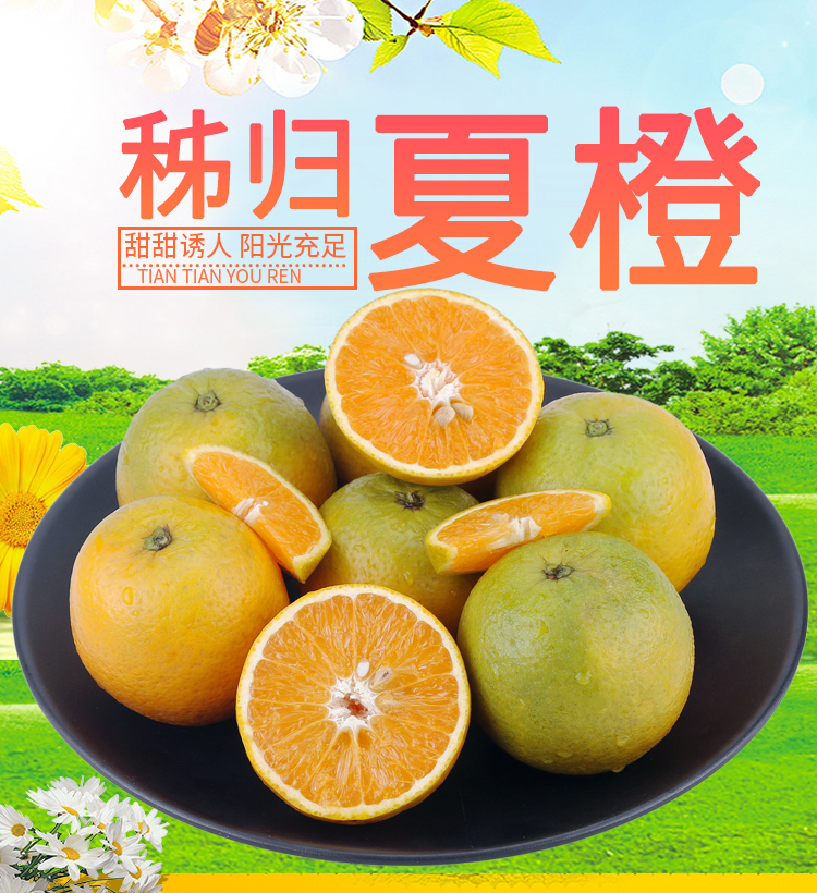 橙乡味道 湖北秭归橙子当季水果新鲜夏橙橙子5斤孕妇榨汁水果带箱