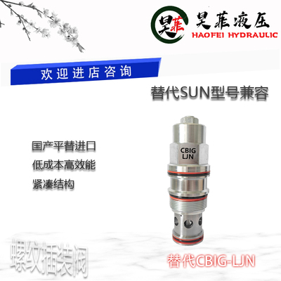 平替SUN螺纹插装阀CBIG-LCN LDN LJN LKN平衡/抗衡阀