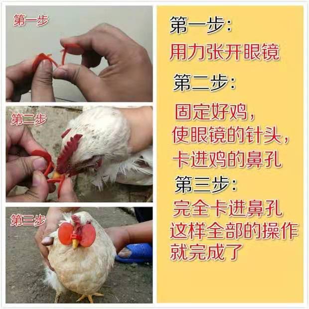 土鸡无栓鸡眼镜眼罩不用栓直接佩戴不穿鼻孔防啄防打架小鸡眼镜