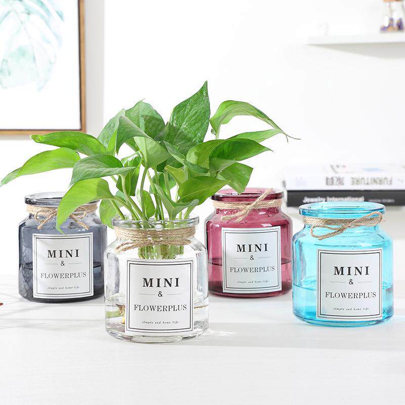 欧式水培玻璃花瓶彩色透明简约田园风创意水养绿萝干花插花瓶摆件