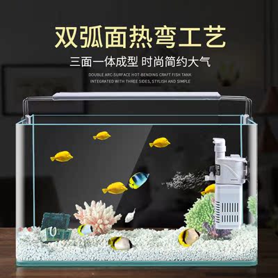 小型客厅鱼缸玻璃观赏鱼