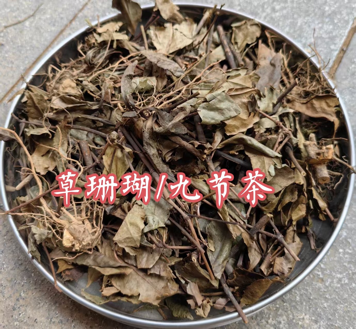 野生九节茶500g包邮 肿节风草珊瑚 九节风接骨莲 新鲜干货