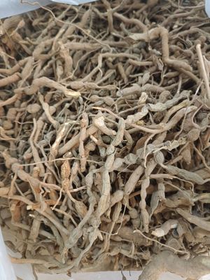 中药材鸡筋参 黄鸡胖黄脚鸡 黄鸡郎长叶树珠根 虎刺根老根煲汤