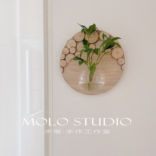 木落天然实木绿植水培壁饰