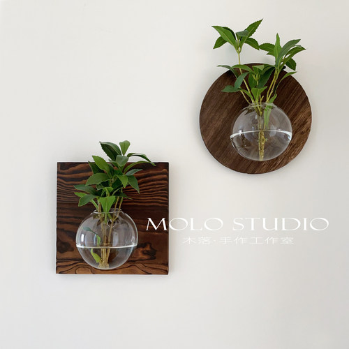 木落实木水培绿植壁饰