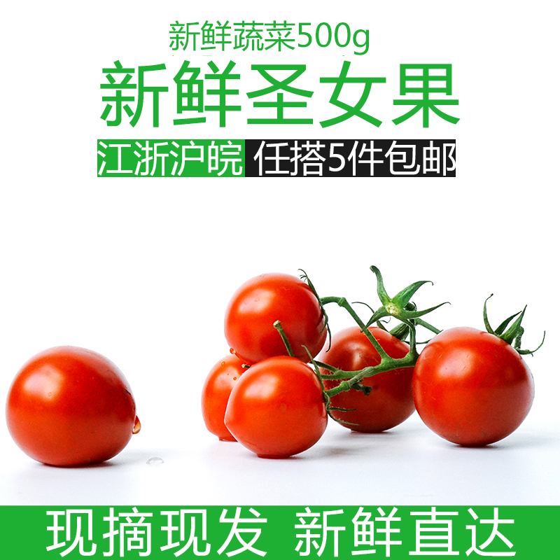 С·¬ÇÑʥŮ¹ûСÎ÷ºìÊÁÐÂÏÊÊß²ËË®¹ûɳÀ500g½Õ㻦Íî5¼þ°üÓÊ