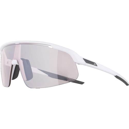 代购ALPINA阿佩纳男女滑雪镜防雾涂层抗紫外线高对比度视觉