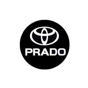 适用于10-25款丰田酷路泽迎宾灯普拉多/霸道车门改装饰投影氛围灯